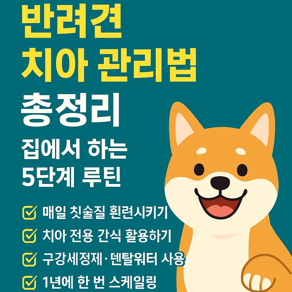반려견 치아관리