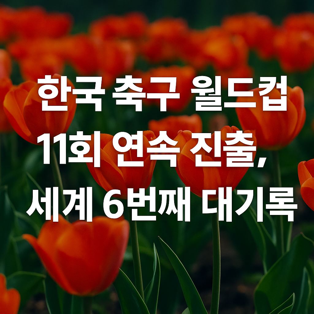 한국축구월드컵본선