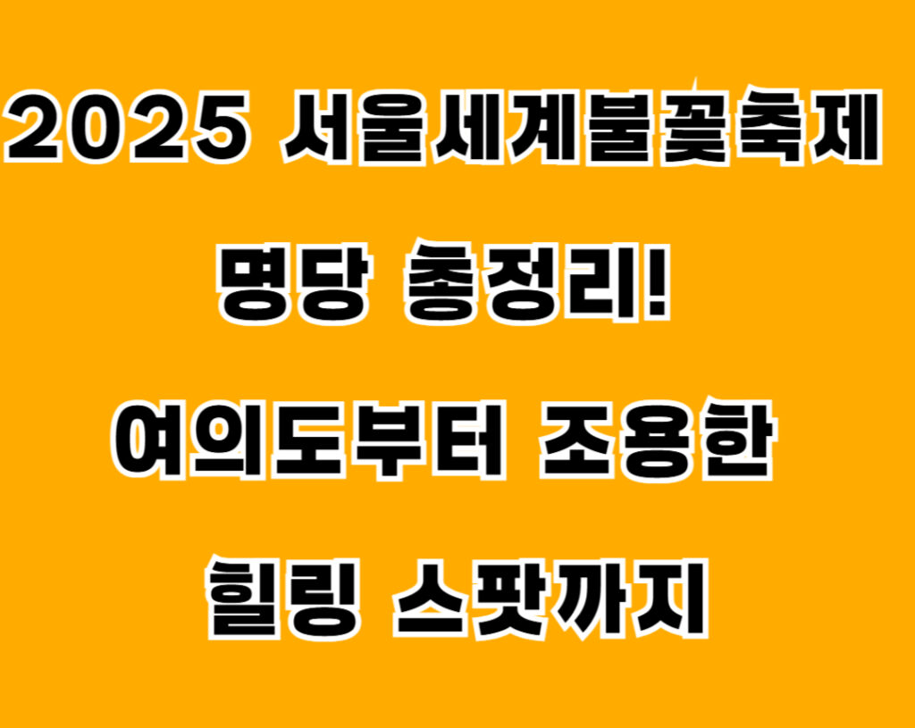 2025 서울세계불꽃축제 명당 총정리! 여의도부터 조용한 힐링 스팟까지