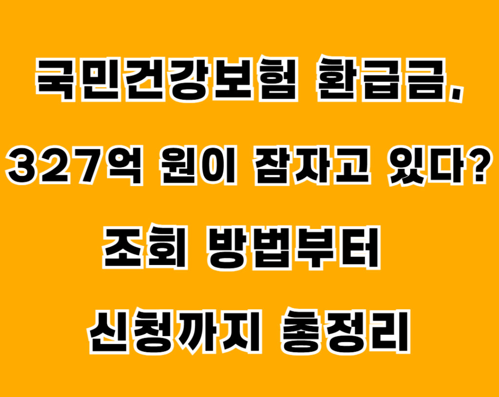 국민겅강보험환급금 001