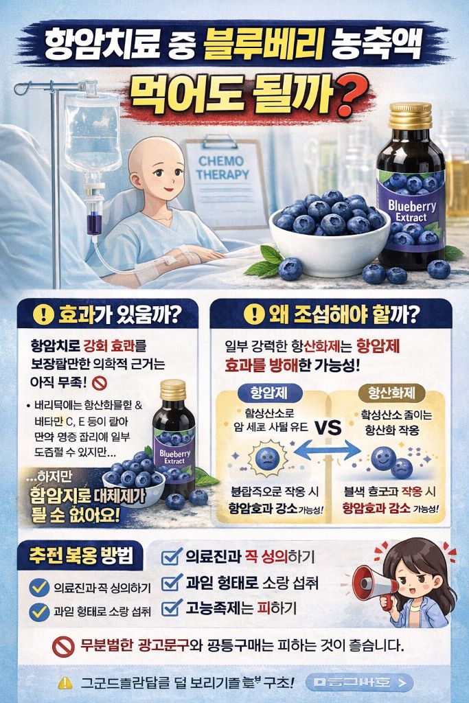 항암치료중 블루베리농축액 먹어도 되는지에 대한인포그래픽