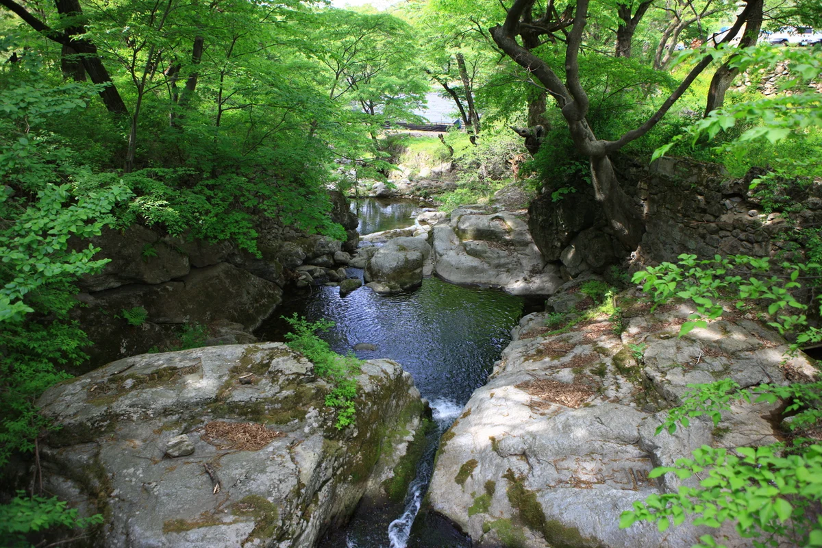 키자니아 GO 계룡 어린이 직업체험 테마파크 - 계룡여행 여행