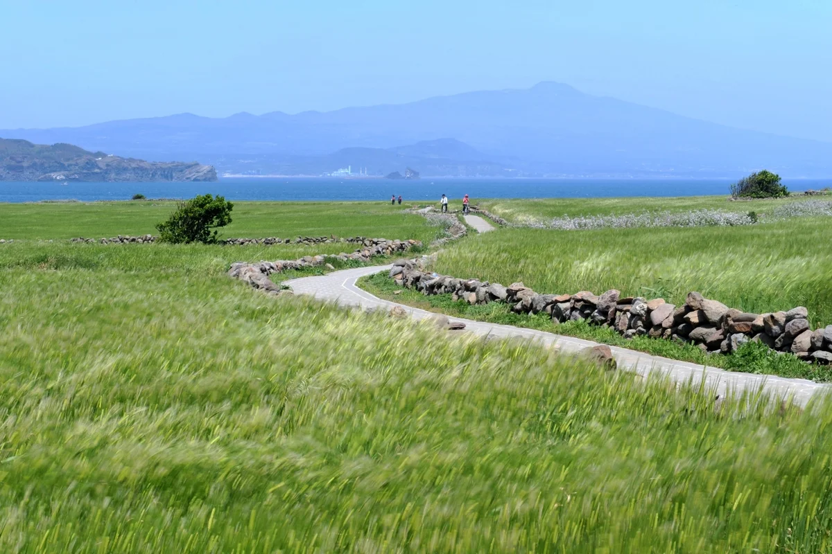 제주 밥집 (출처 : 한국관광공사)