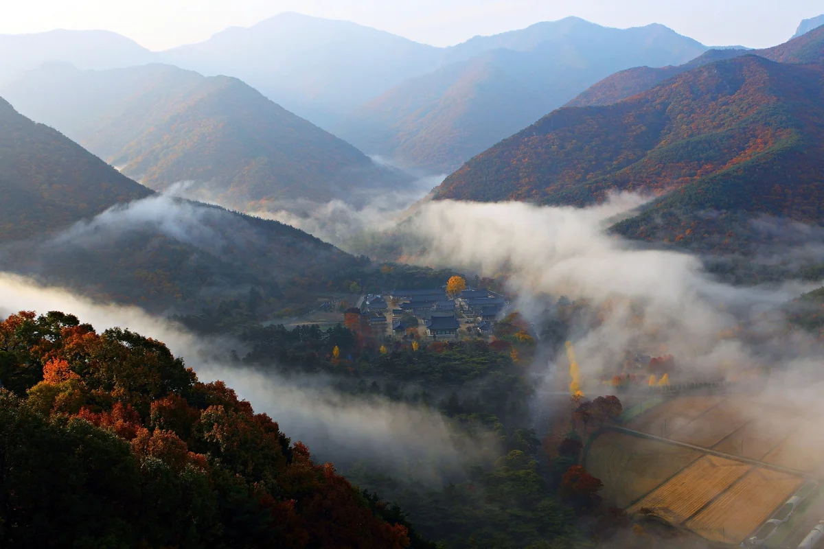 청도용암온천 - 청도여행 여행