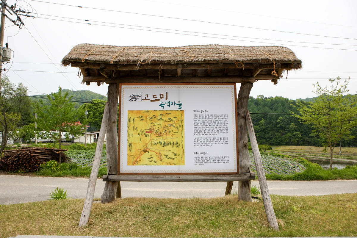 청주 장미축제 (출처 : 한국관광공사)