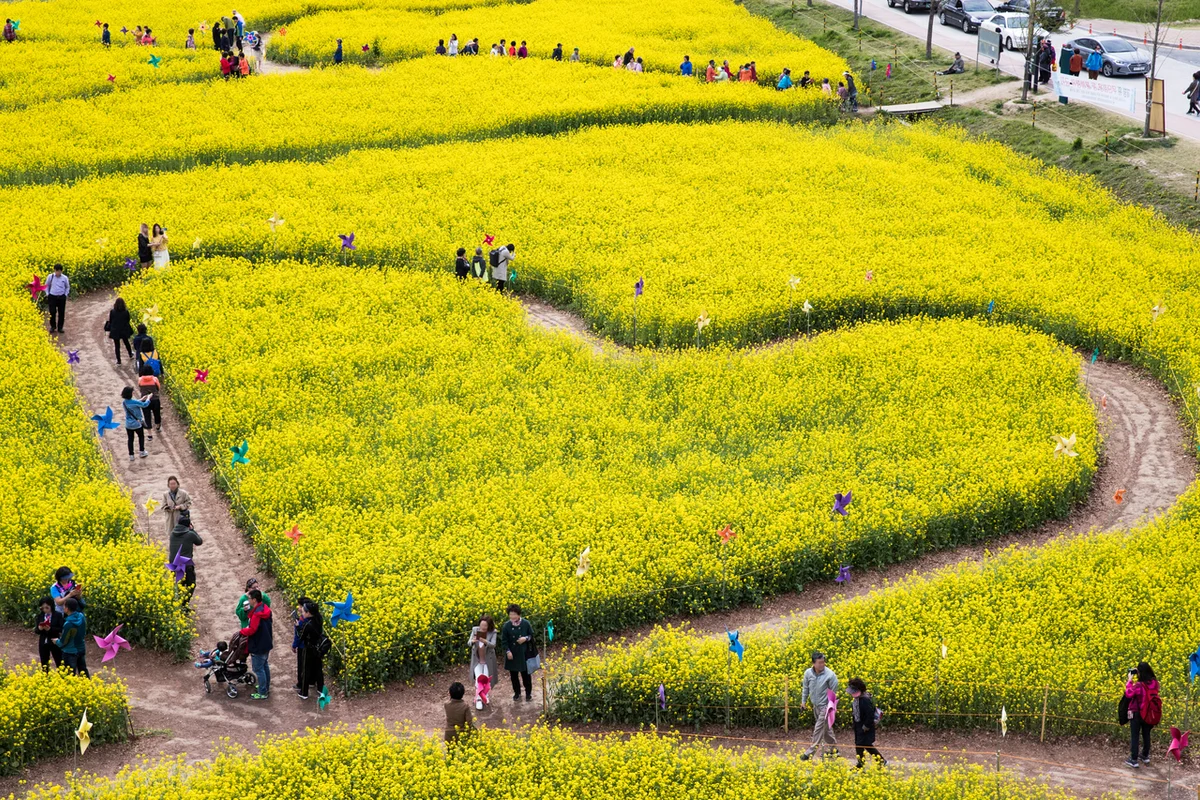 서구 겨울 축제 (출처 : 한국관광공사)