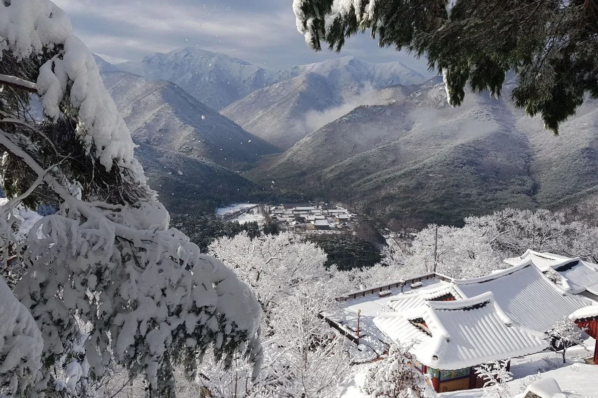 청도프로방스 - 청도여행 여행