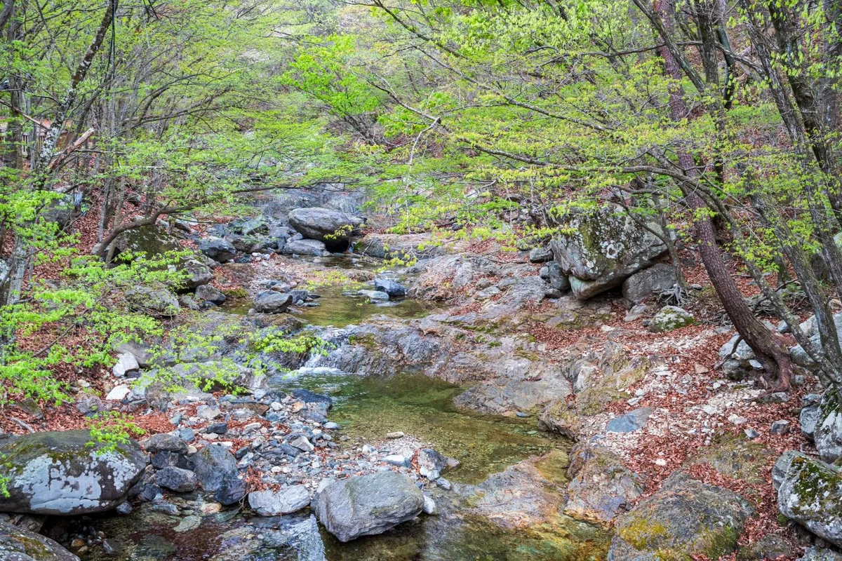 법기치유의길 (양산시 산책 코스) - 양산 여행 여행