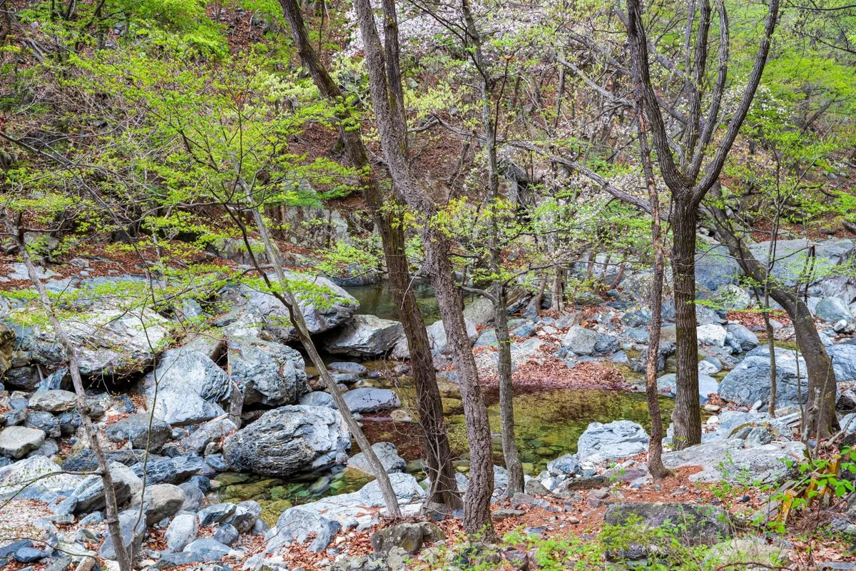 양산시 다방동 유적 - 양산시 여행