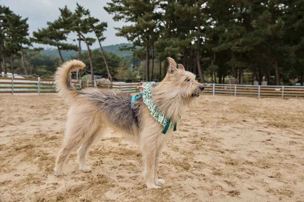 테이블에이 - 신정동 여행