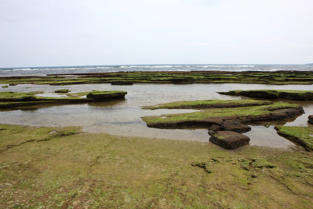 광치기 해변 - 휘닉스제주 여행