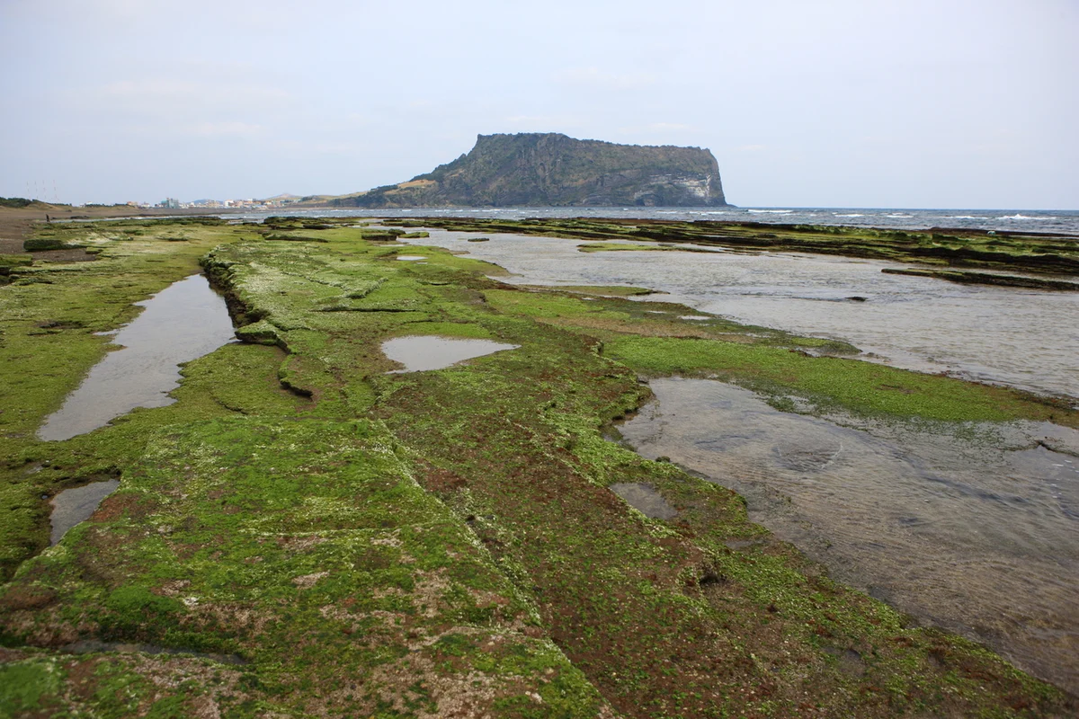 성산일출봉 - 휘닉스제주 여행