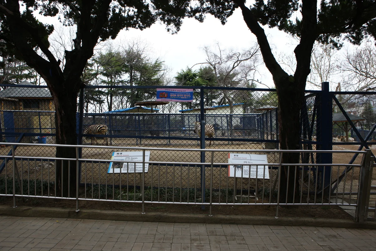 달성공원 여행코스: 대구의 심장 - 대구여행 여행