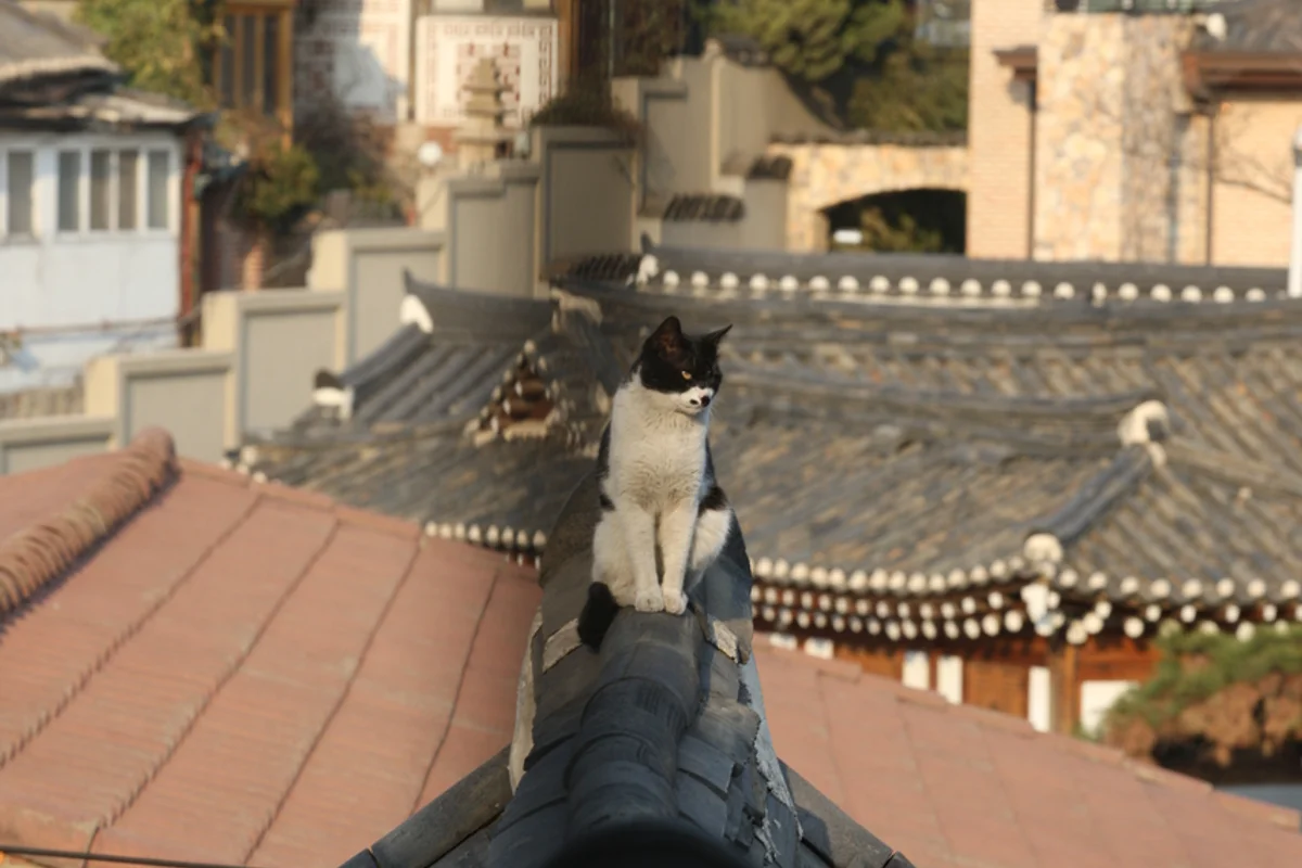 열린송현 녹지광장 - 삼청동 여행