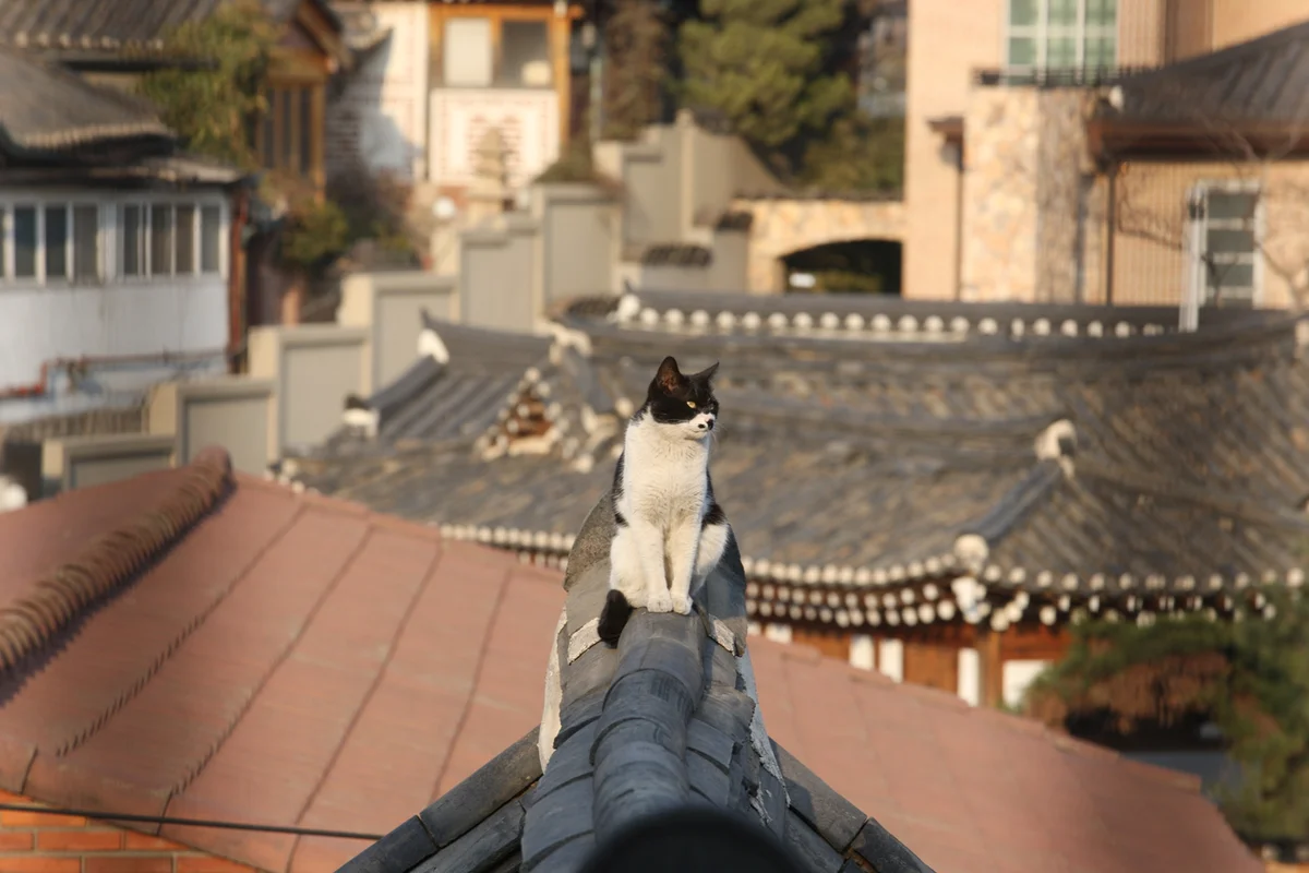 아띠인력거 - 삼청동 여행