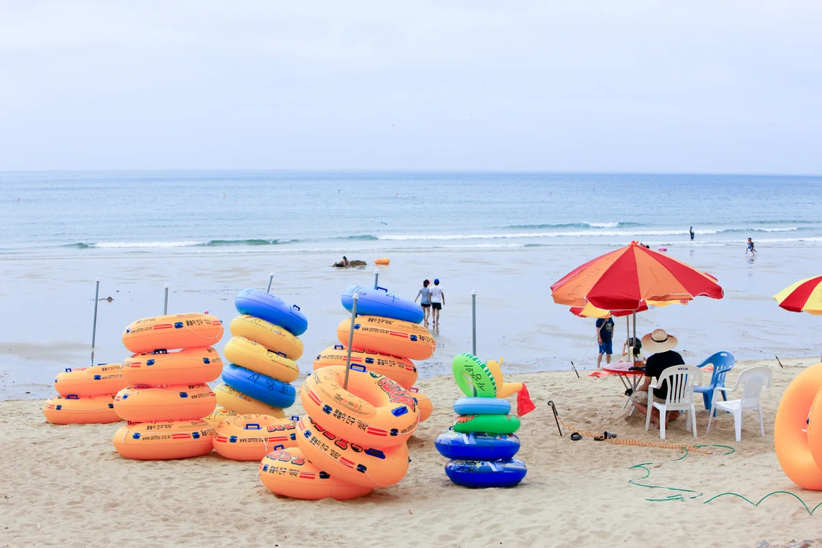 만리포 수목원 (출처 : 한국관광공사)