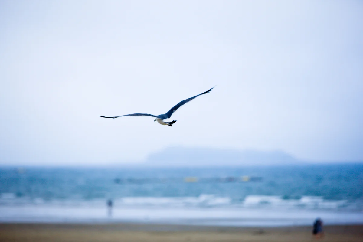 아일랜드 리솜 오아식스 선셋스파 - 안면도호텔 여행