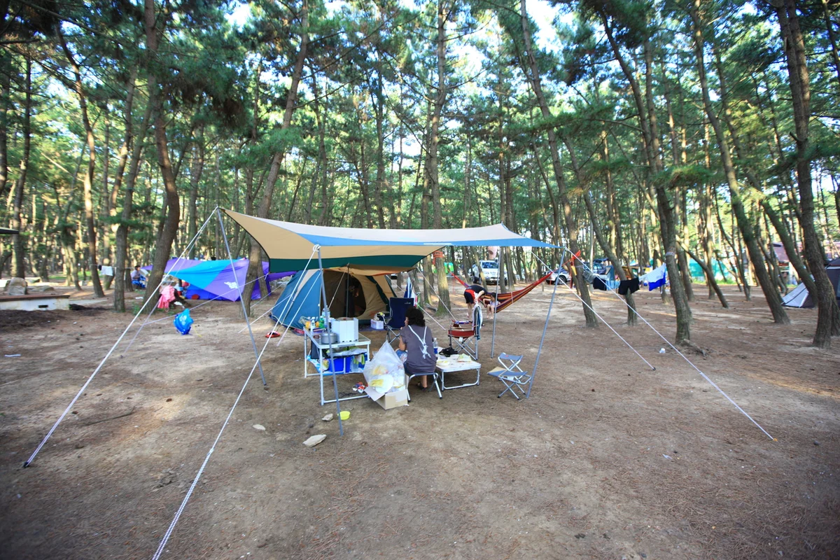 몽산 - 당진등산 여행