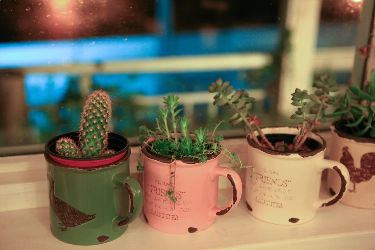 달맞이길 - 해운대반려견동반 여행