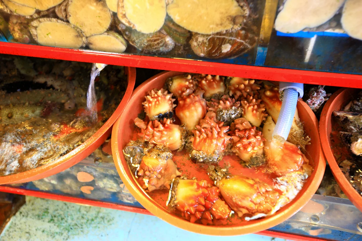 부산BIFF거리 - 부산여행 여행