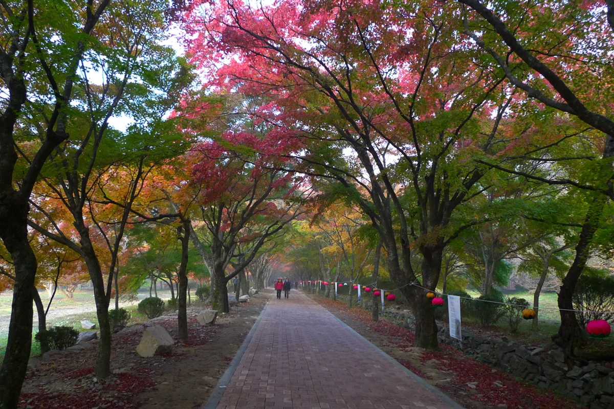 정읍 근교여행: 에디터스 픽 - 정읍여행 여행