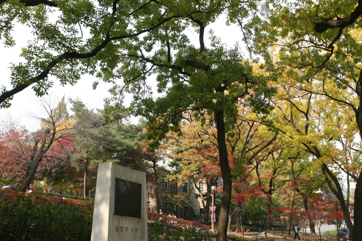 연세대학교 - 신촌여행 여행