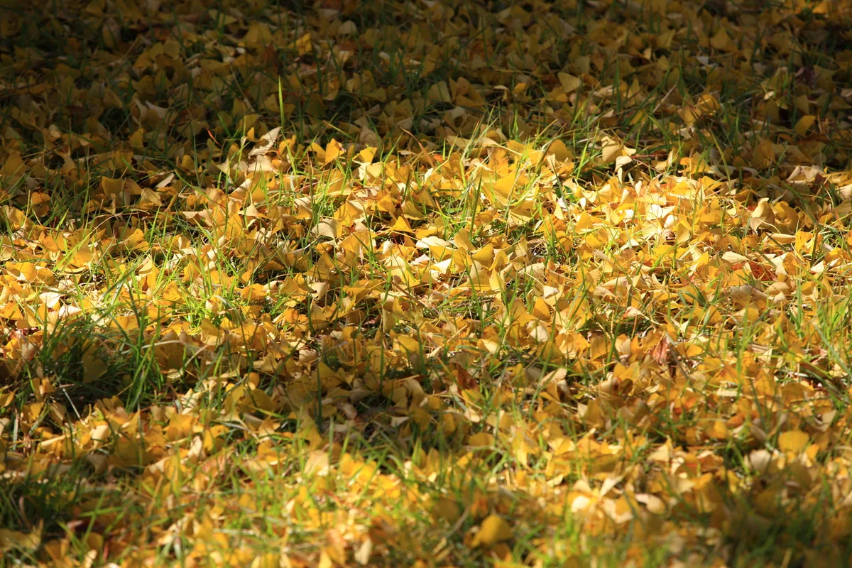 영양 두들마을 - 영양군 여행 여행