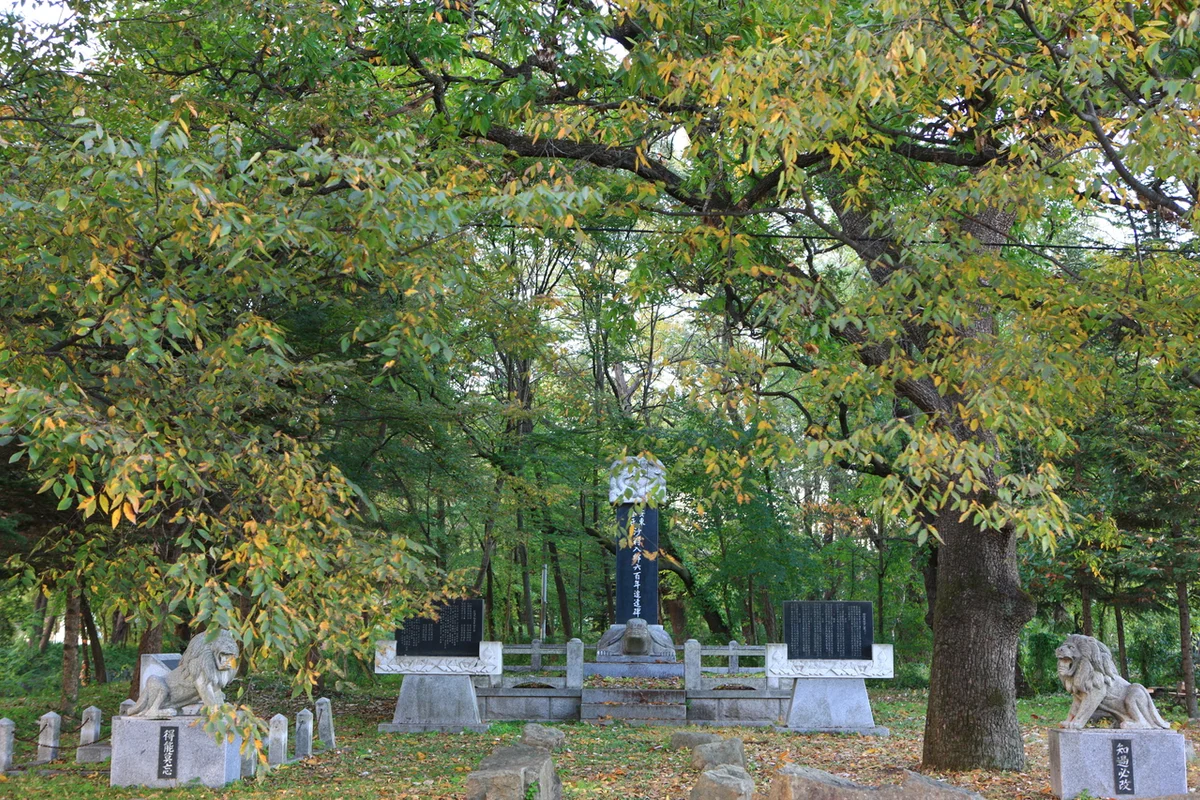 경덕왕릉의성조문국사적지 - 의성여행 여행