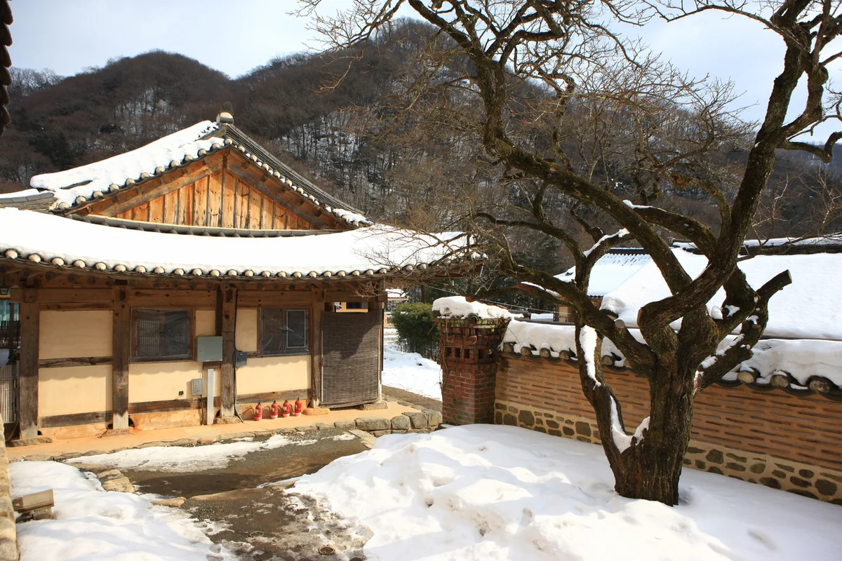 백양사 - 장성군여행 여행