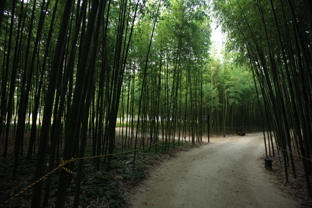 울산 가볼만한 곳: 태화강 국가정원 - 울산여행 여행