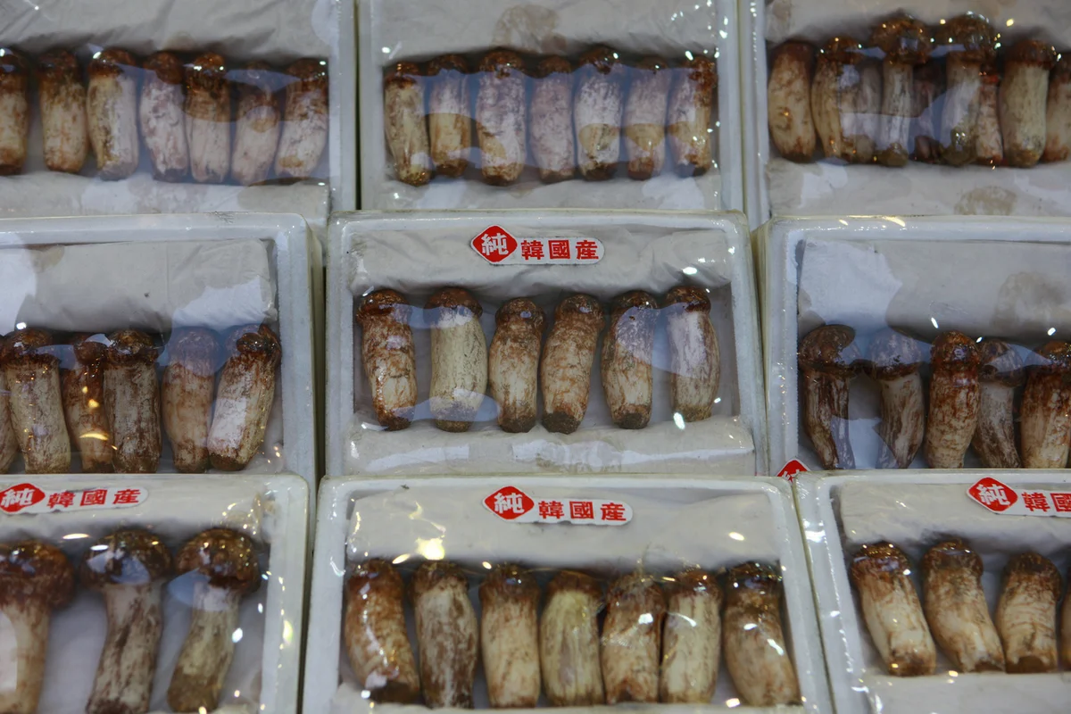 남대문시장 - 서울여행 여행