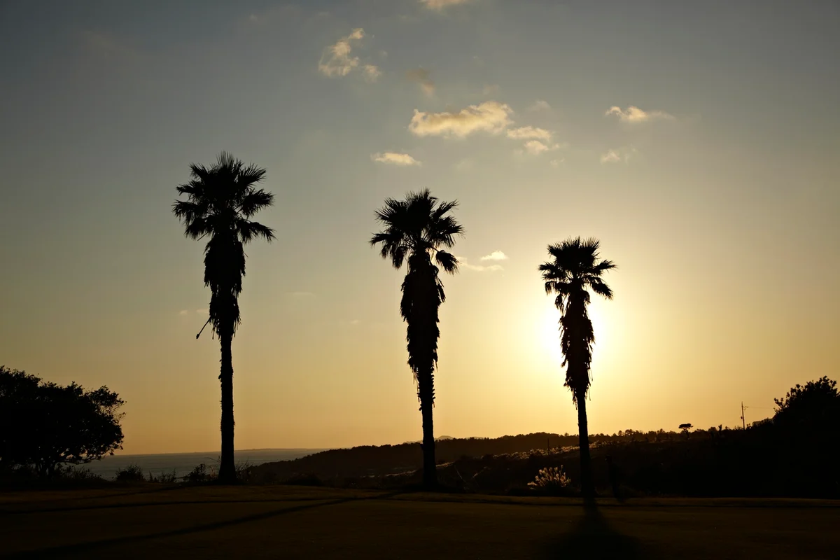 해비치 호텔&리조트 제주 - 제주여행 여행