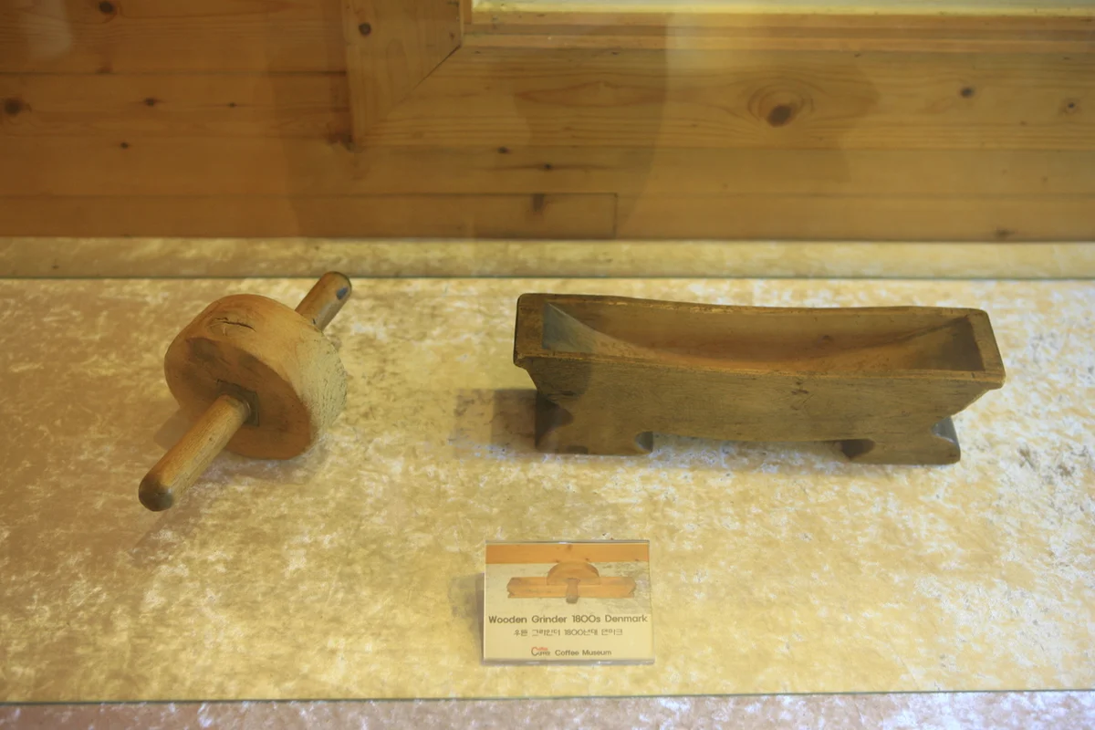 대전 엑스포 아쿠아리움 - 대전여행 여행