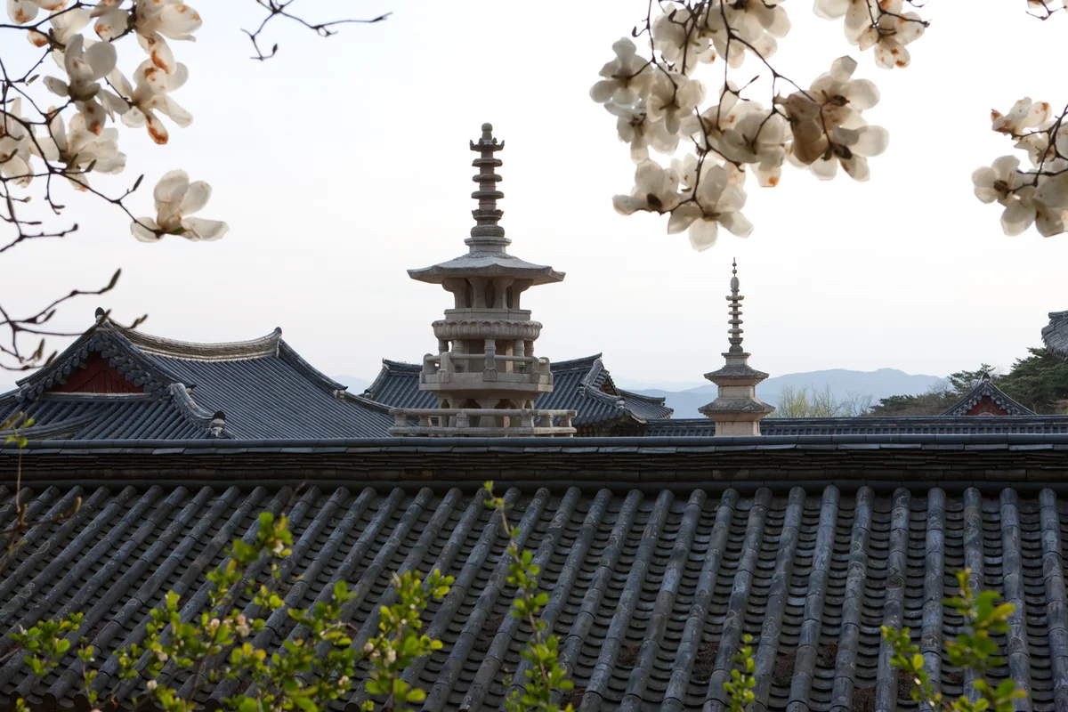 불국사 봄 나들이 (출처 : 한국관광공사)