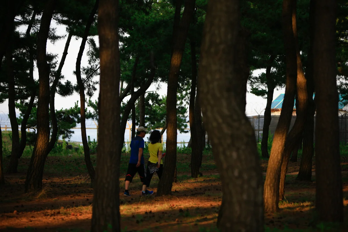 송정해수욕장 - 해운대반려견동반 여행