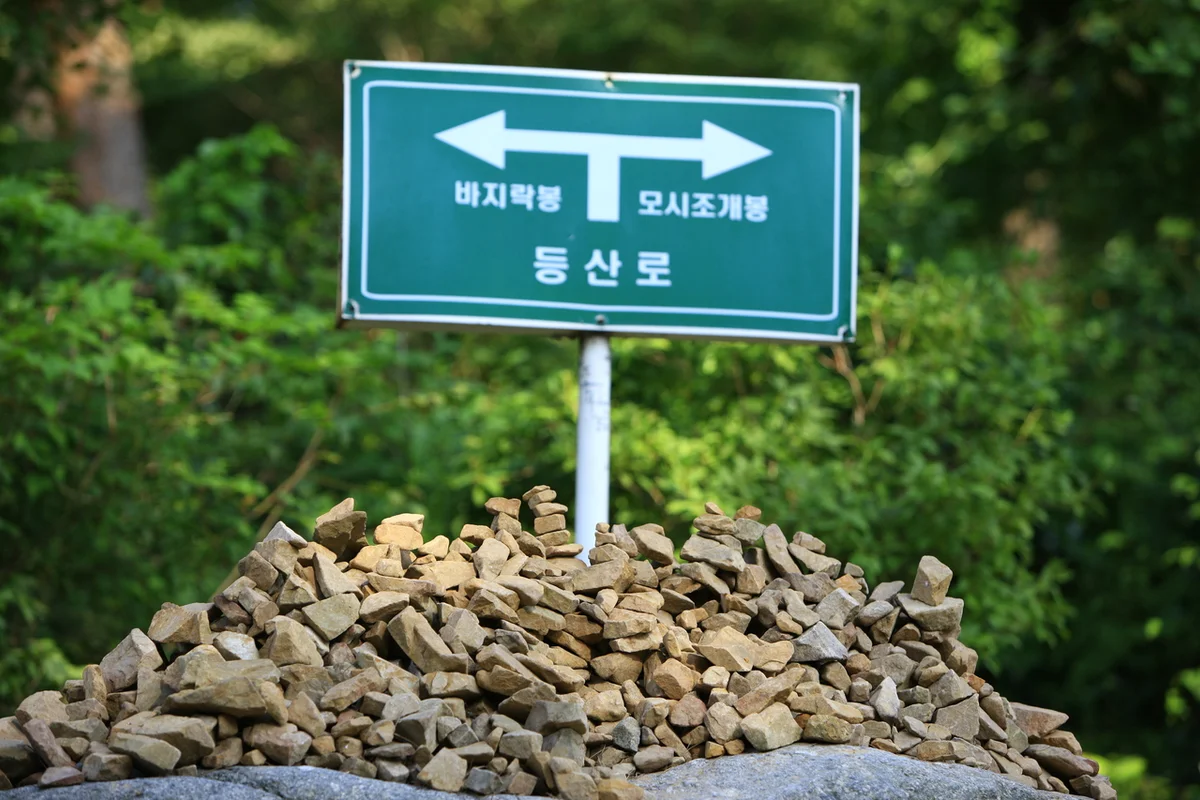 안면도자연휴양림 - 태안 여행