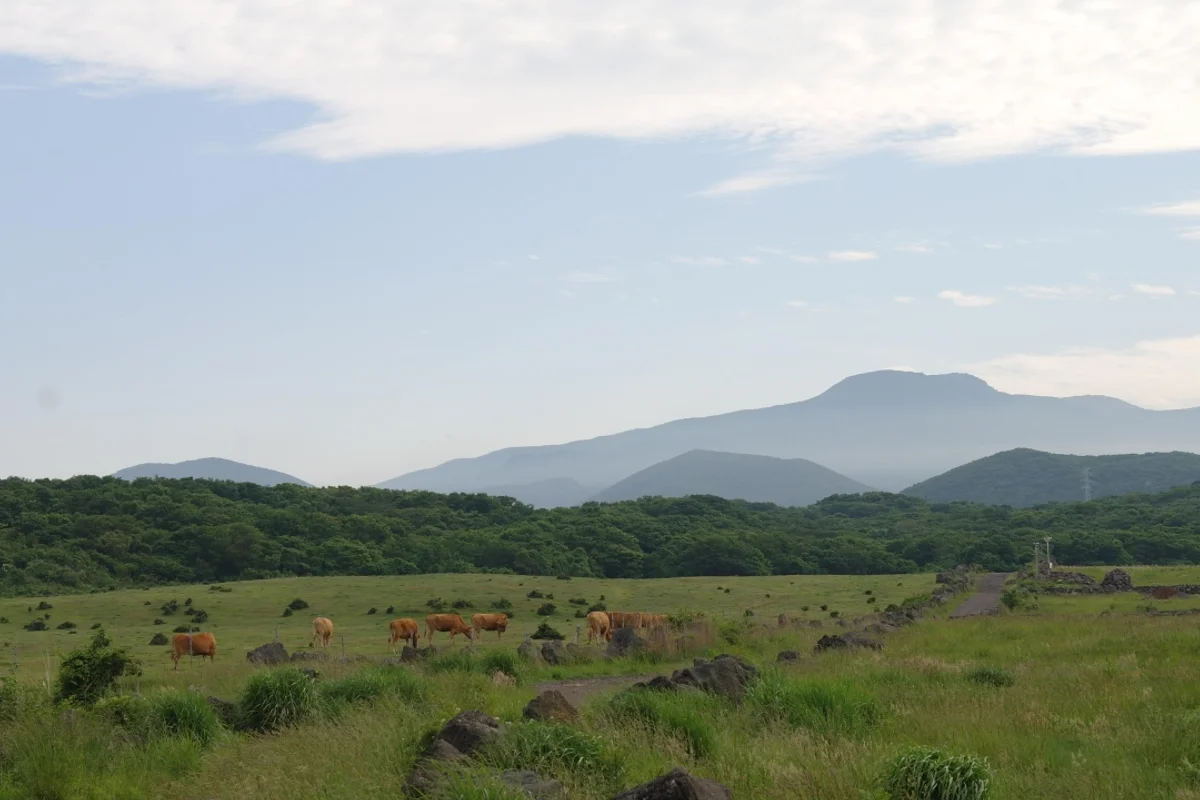 제주돌문화공원 - 제주여행 여행