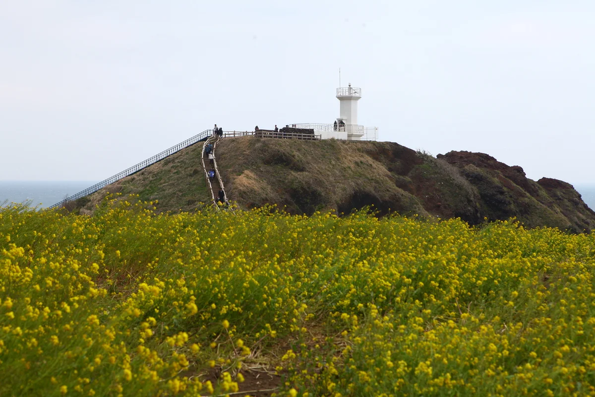 섭지코지 - 휘닉스제주 여행