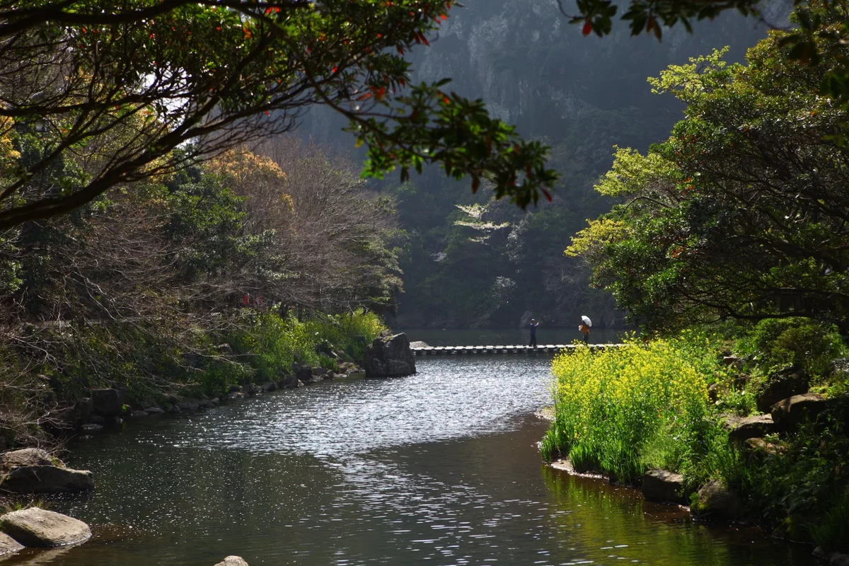 천지연 후기 (출처 : 한국관광공사)