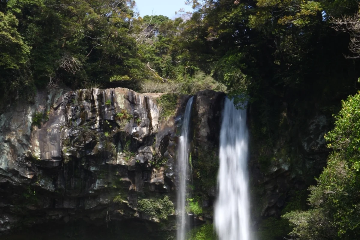 천지연폭포 - 제주 여행