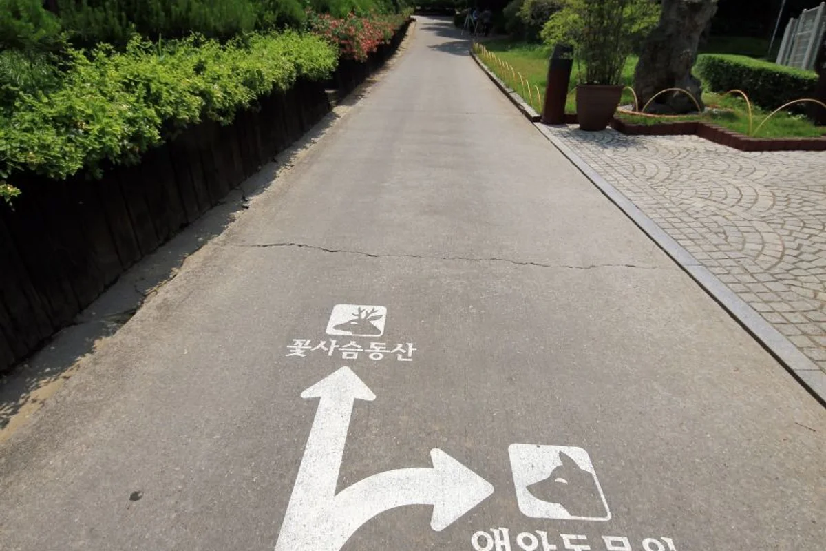 베어트리파크 - 세종산책로 여행