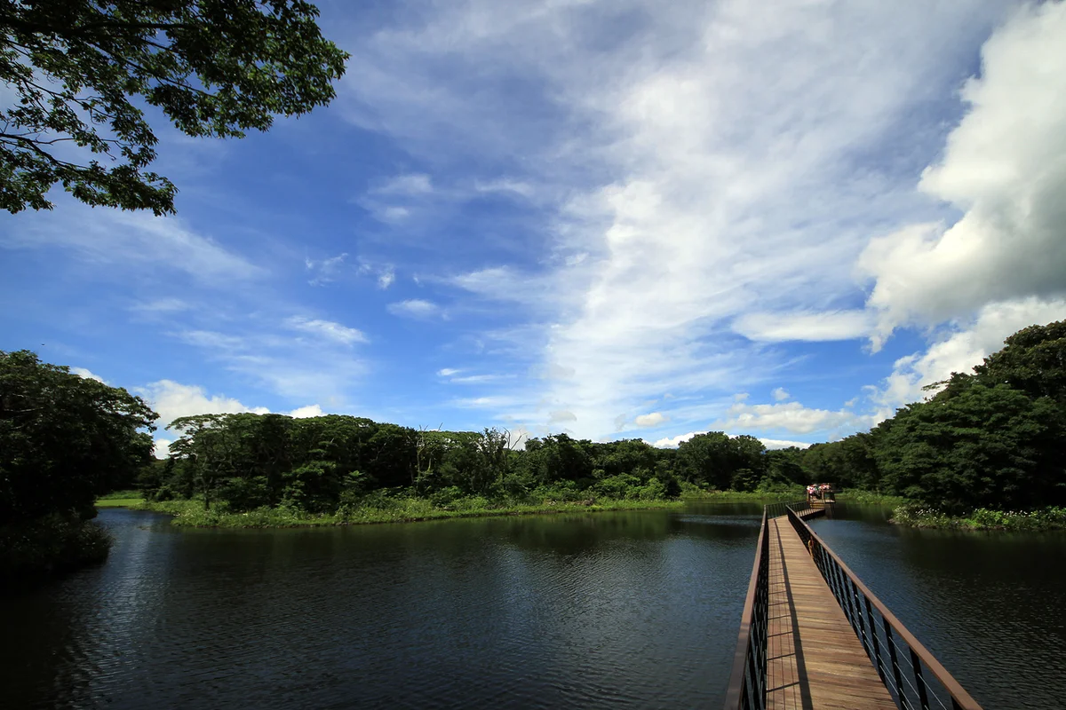 에코랜드 테마파크 - 제주 여행 여행