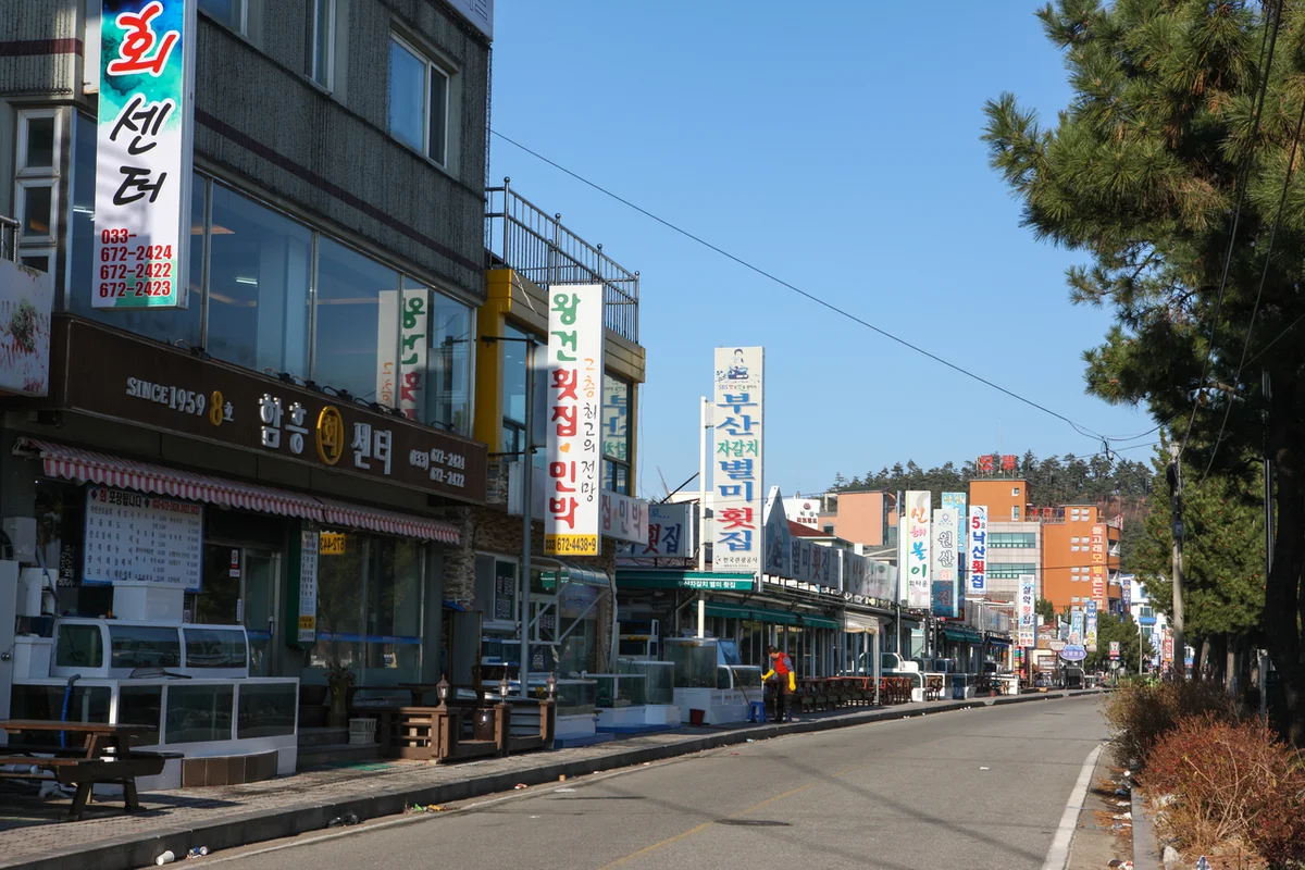 궁동 주말농장 - 궁동횟집 여행