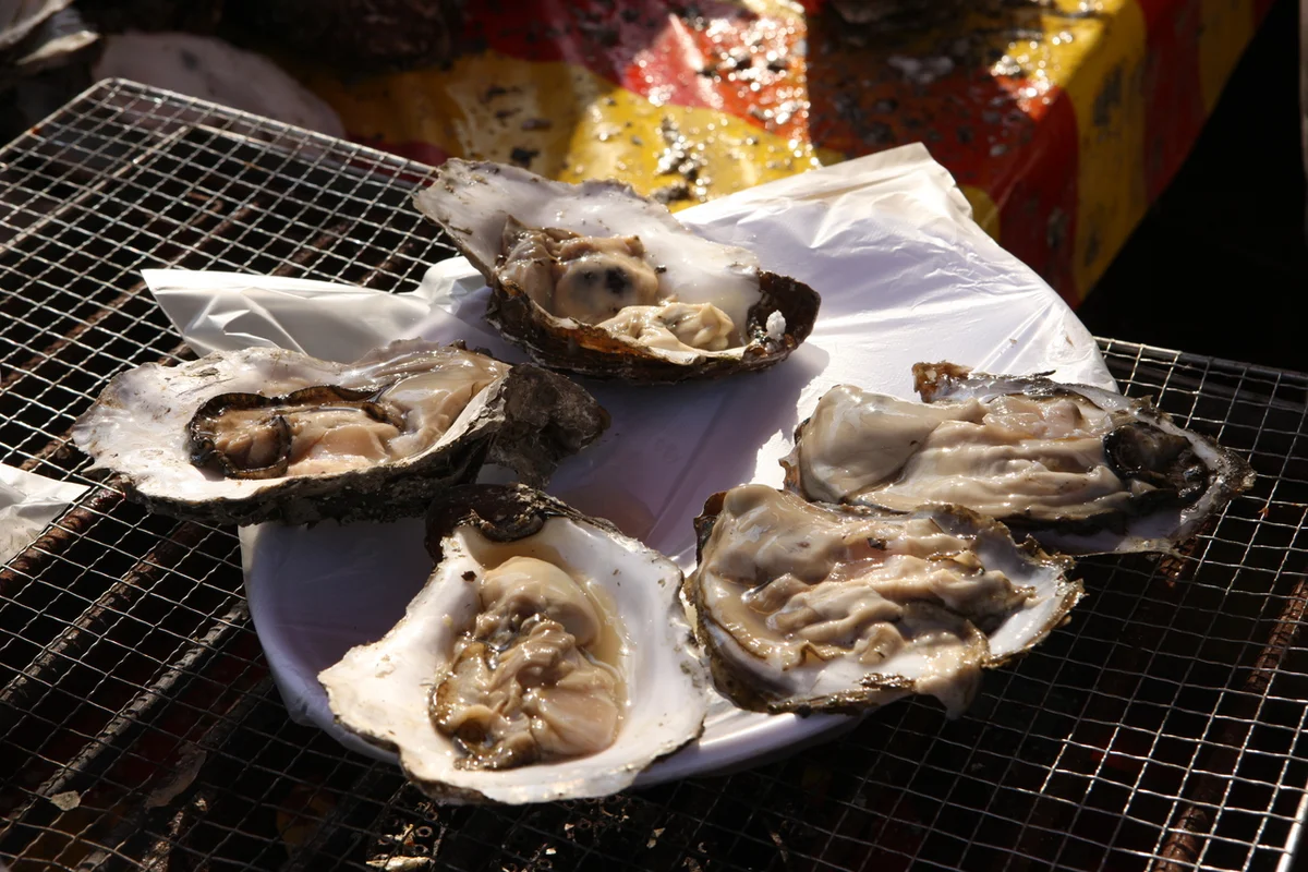 하동군 아쿠아리움 (출처 : 한국관광공사)