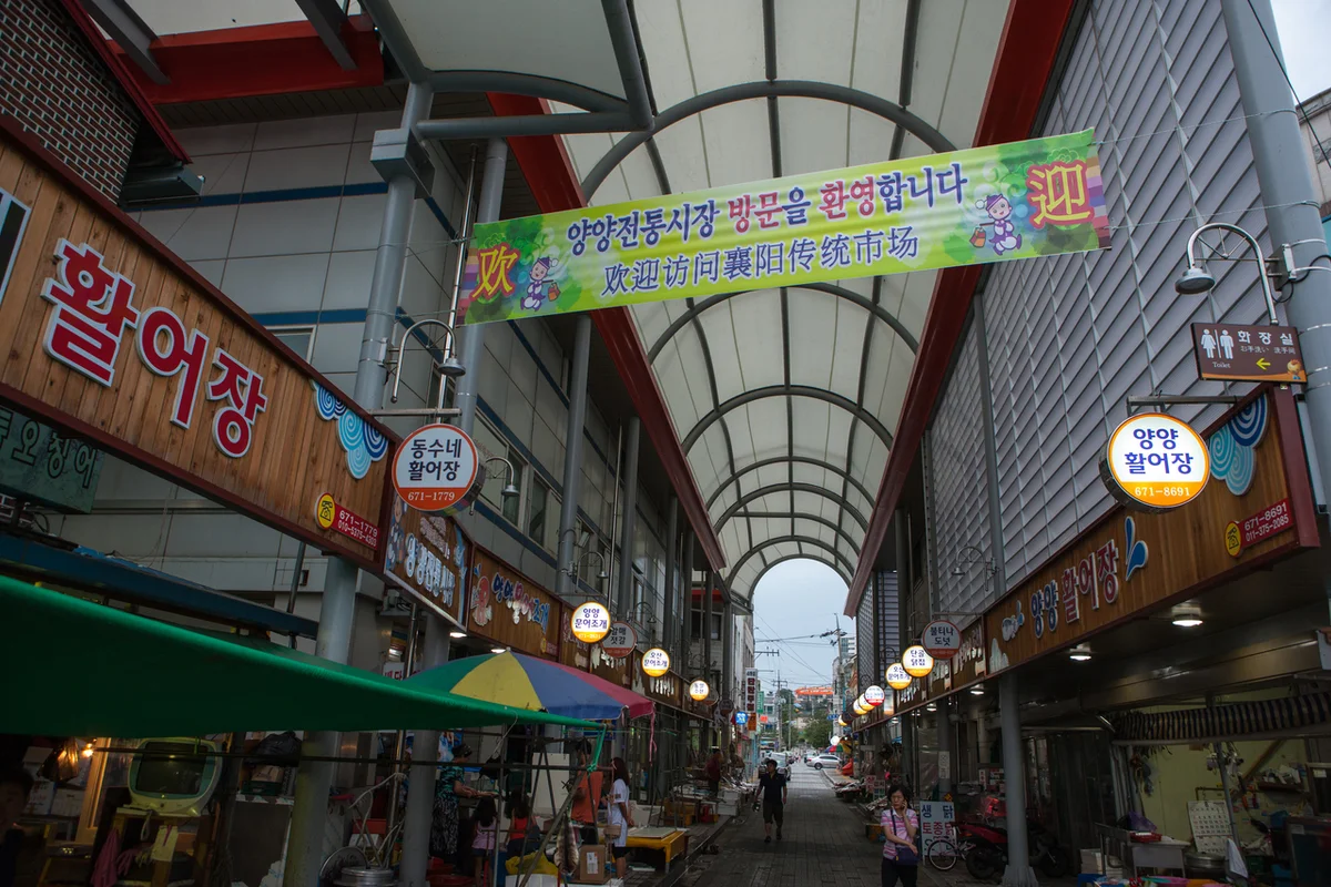 양양전통시장 - 양양여행 여행