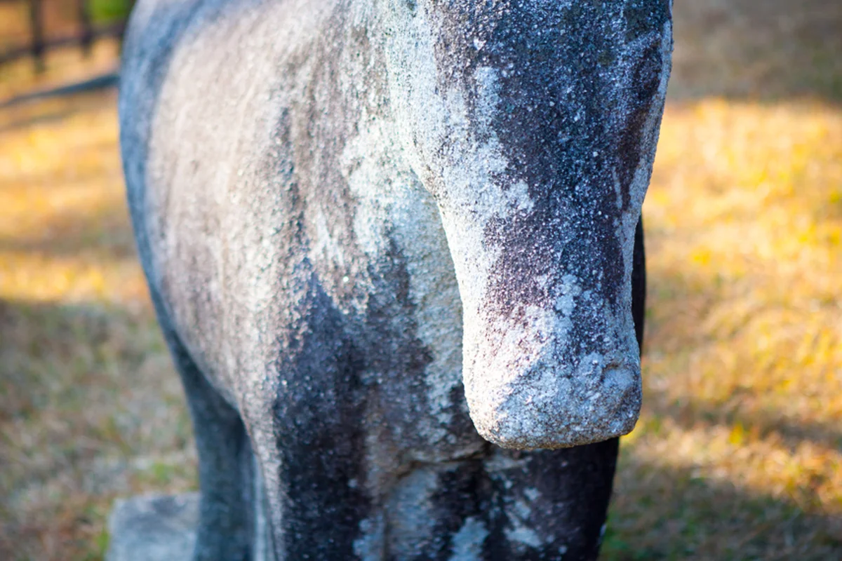 세종대왕릉 - 여주여행 여행