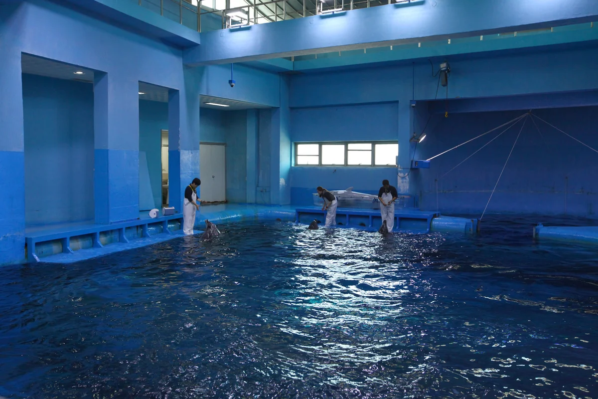 장생포 고래생태체험관 - 장생포 여행