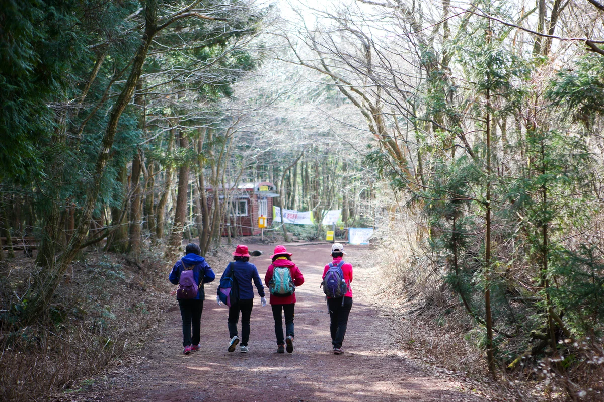사려니숲길 입장료 (출처 : 한국관광공사)