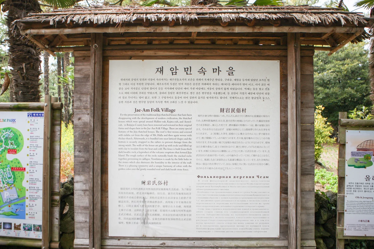 한림 벚꽃 (출처 : 한국관광공사)