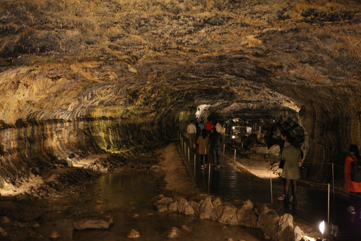 제주월령리선인장군락 - 협재스노클링 여행